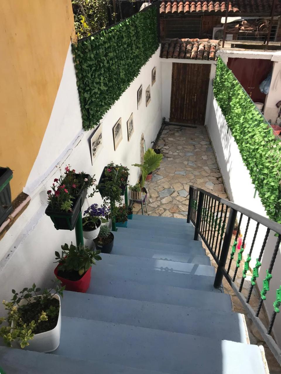 Bujtina Veritos Berat Exteriér fotografie